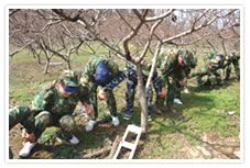 拓展培訓——生命之旅
